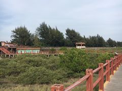 -北海金海湾红树林生态旅游区