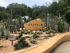 景点-深圳仙湖植物园