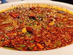-情妹耙泥鳅·江湖川菜(科华店)