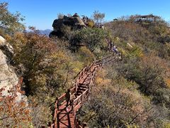 -大岭沟猕猴桃谷风景区