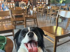 -华农酸奶(五山直营店)