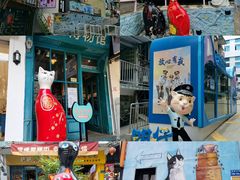 -猫咪博物馆(顶澳仔猫街店)