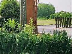 -溱湖国家湿地公园