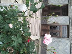 iphone_upload_pic-龙潭水乡