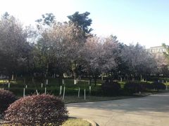 -西南政法大学(渝北校区)