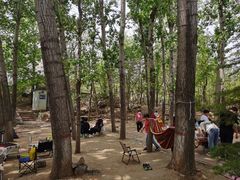 -天鹅湖生态旅游风景区