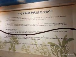 -卡森乐园