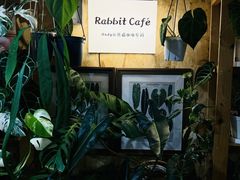 -Rabbit Cafe私房西餐甜点咖啡(栖霞路店)