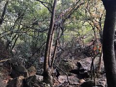 -牛鱼嘴原始生态风景区