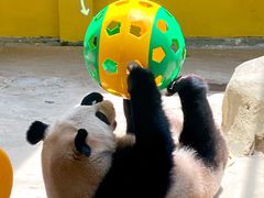 -杭州野生动物世界
