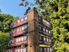 -野象谷景区