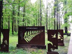 -黄海国家森林公园