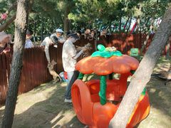 -西霞口神雕山野生动物世界