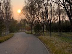 -永定河休闲森林公园