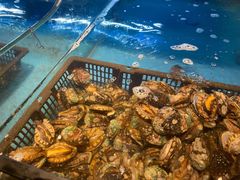 小鲍鱼-喜庭海鲜自助(来福士店)