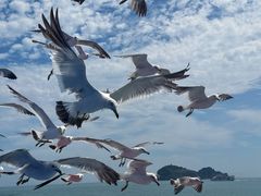 -海驴岛(荣成市)