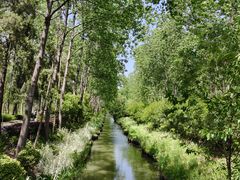 -合肥滨湖国家森林公园