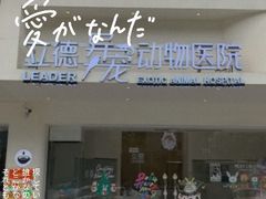 -立德动物医院·异宠·CT·鹦鹉(天河店)