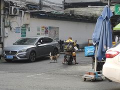 -盘飧市(春熙路店)