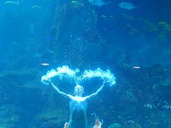 -威海华夏城景区