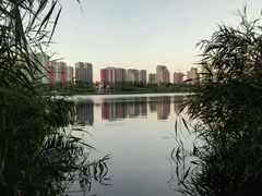 android_upload_pic-永定河休闲森林公园