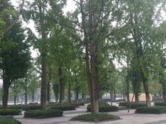 -百林公园-两江幸福广场