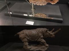 -北京周口店北京人遗址博物馆
