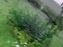 -沈阳海洋探索中心