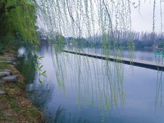 -星巴克(西湖天地店)