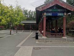 -莲花池公园