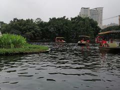 -荔湾湖公园