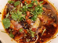 -陈麻婆豆腐总店