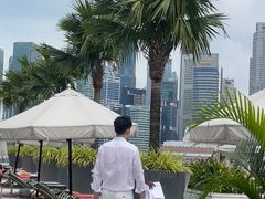 -新加坡文华东方酒店