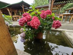 -源泉冷水鱼庄(小鱼洞店)