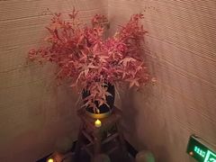 -Dragonfly悠庭·按摩Spa(静安嘉里中心店)