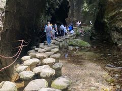 -牛背梁国家森林公园