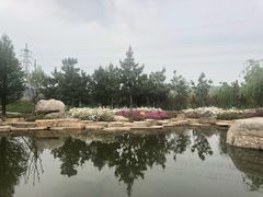 -羊亭河湿地公园