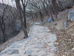 -北京鹫峰国家森林公园