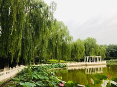 -丰台花园