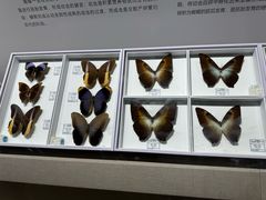 -烟台市博物馆