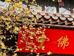 -灵谷景区