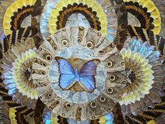 -上海昆虫博物馆