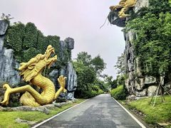 -宜兴龙背山森林公园
