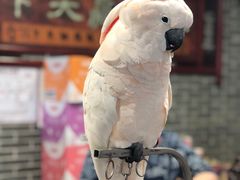 -四海楼(如皋定慧禅寺店)