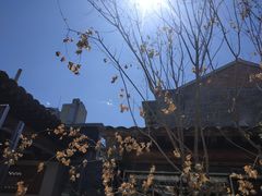 -VOYAGE COFFEE(杨梅竹店)