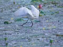 -东钱湖旅游度假区