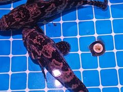 -阿里元海鲜·闽南特色菜(曾厝垵店)