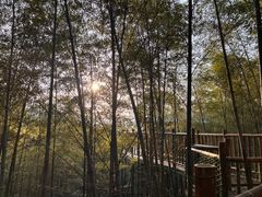 -陶祖圣境风景区