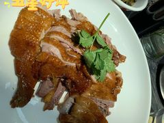 -陈鹏鹏潮汕菜(宝安机场T3航站楼店)