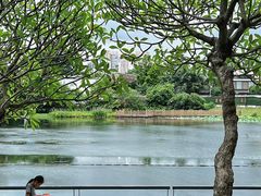 -东山湖公园